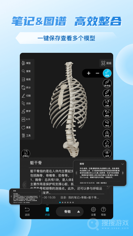 维萨里3D解剖app6.7.1