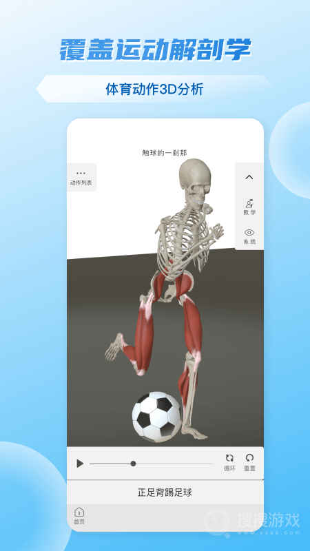 维萨里3D解剖app6.7.1