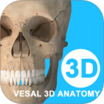 维萨里3D解剖app