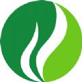 今天网校app最新版