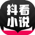 抖看小说app安装