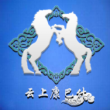 云上康巴什最新版