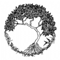 素描学习app