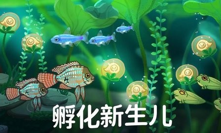 池趣手游1.2.2最新版