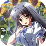 夏空的英仙座汉化版