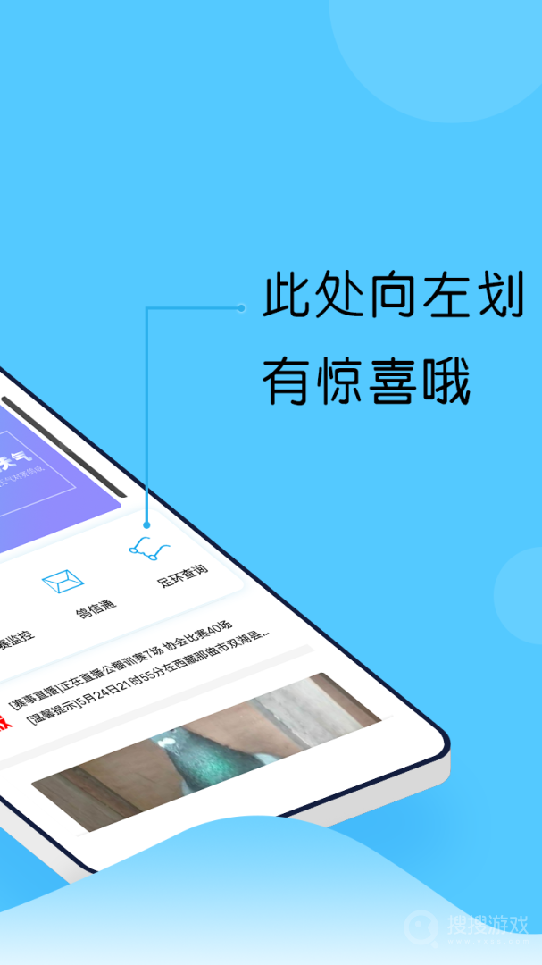 中鸽网app2.3.46