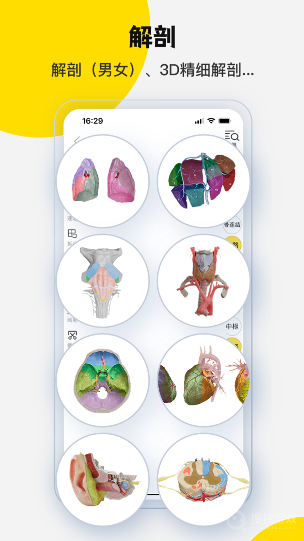 3DBody解剖app8.8.44