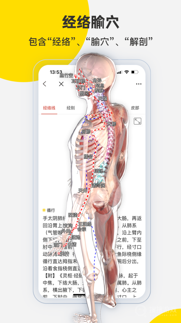 3DBody解剖app8.8.44