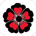 黑樱手游app