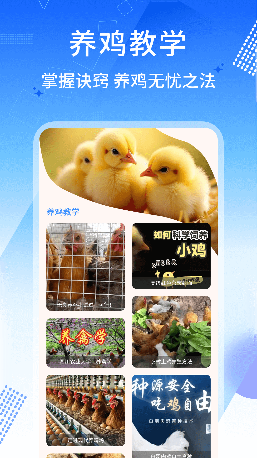 养鸡宝appv1.0.4